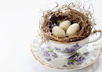 Eierkocher für 3 Eier im Test | Aus Edelstahl & in Weiß