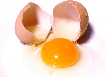 Eierkocher für 1 Ei im Test | Bedienungsanleitung für Eier