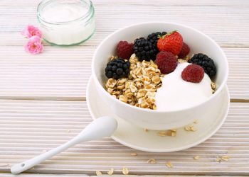 Joghurt selber machen mit Kulturen | Joghurtkulturen herstellen