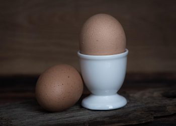 Eierkocher reinigen (Tipps) | Richtig säubern & putzen