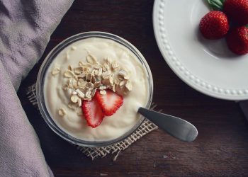 Vanillejoghurt selber machen | Joghurtmaschine vs. Thermomix