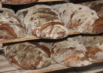 Schimmel am Brot | Wie erkennen & ist wegschneiden gefährlich?